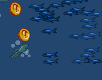 "Frog Fest"