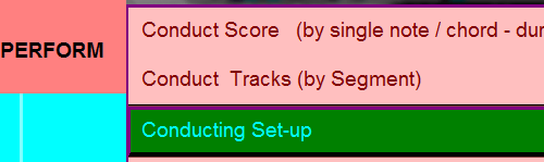 Image of "Perform" menu and the "Conducting Set-up" option.
