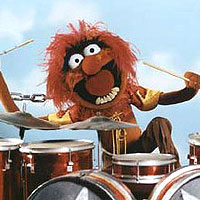 7. Testing: The Muppet Show's 'Animal' on drums.