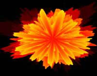 Image from PS One in built feature. Use
