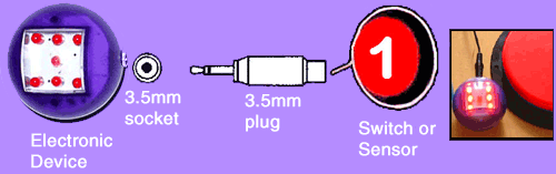 Disability Standard Switch diagram.